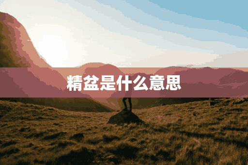 精盆是什么意思